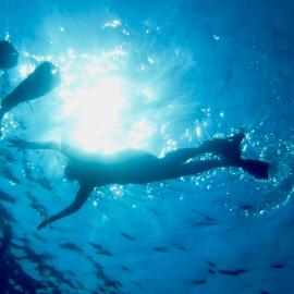 For the Love of Water